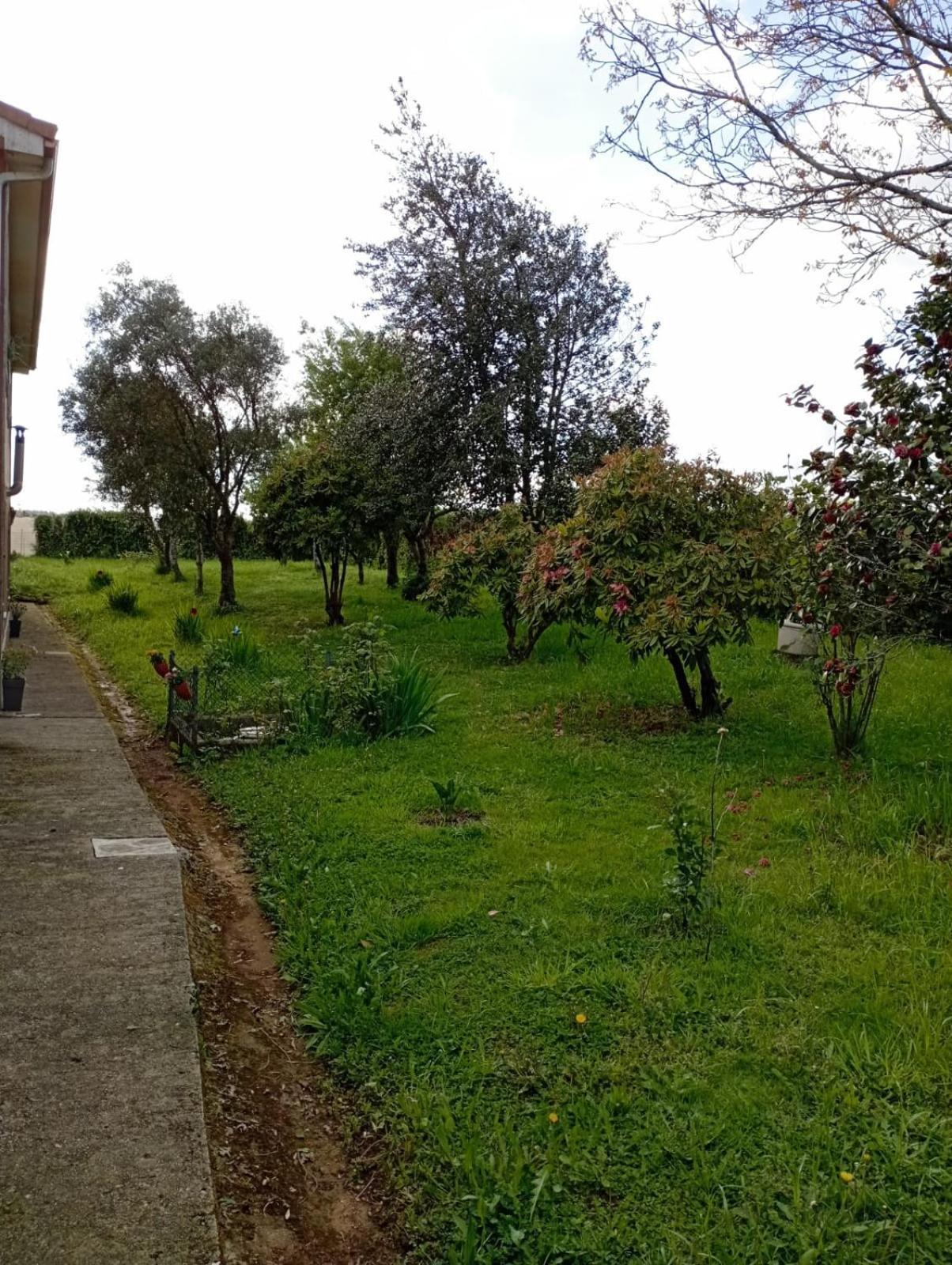 A Casa Do San Paio De Buscas Apartment Ordes Luaran gambar